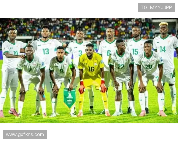 赞比亚2012年非洲杯夺冠历程与当前竞争力分析