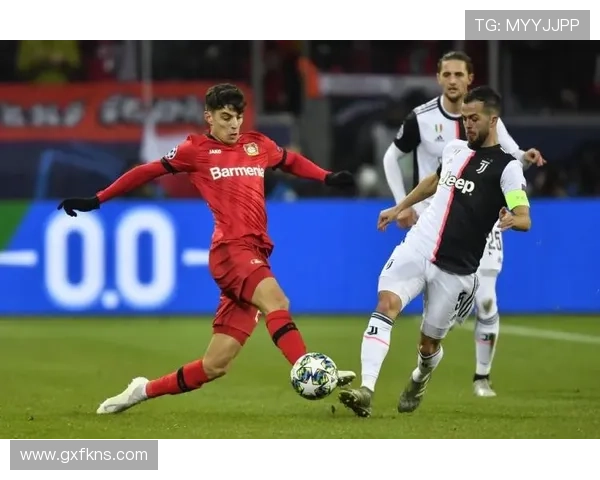 哈弗茨技术全面性