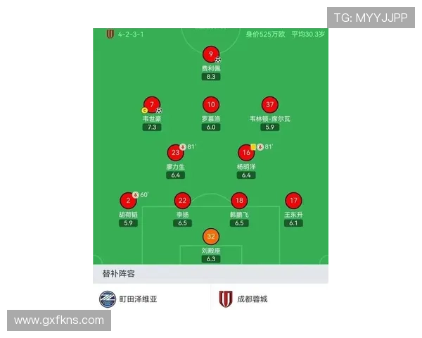 姆巴佩国家队与俱乐部荣誉结构对比分析