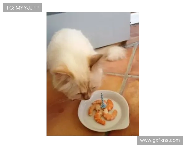 掌敏洁家的猫都比我的工资高