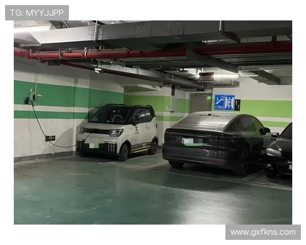 登贝莱新买豪车放家门口，邻居羡慕又心疼那停车费咋算？