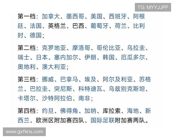 世界杯E组晋级路线图分析
